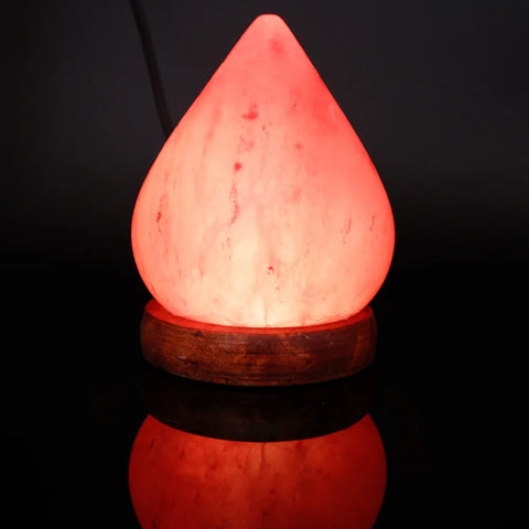 Wellness & Relaxation